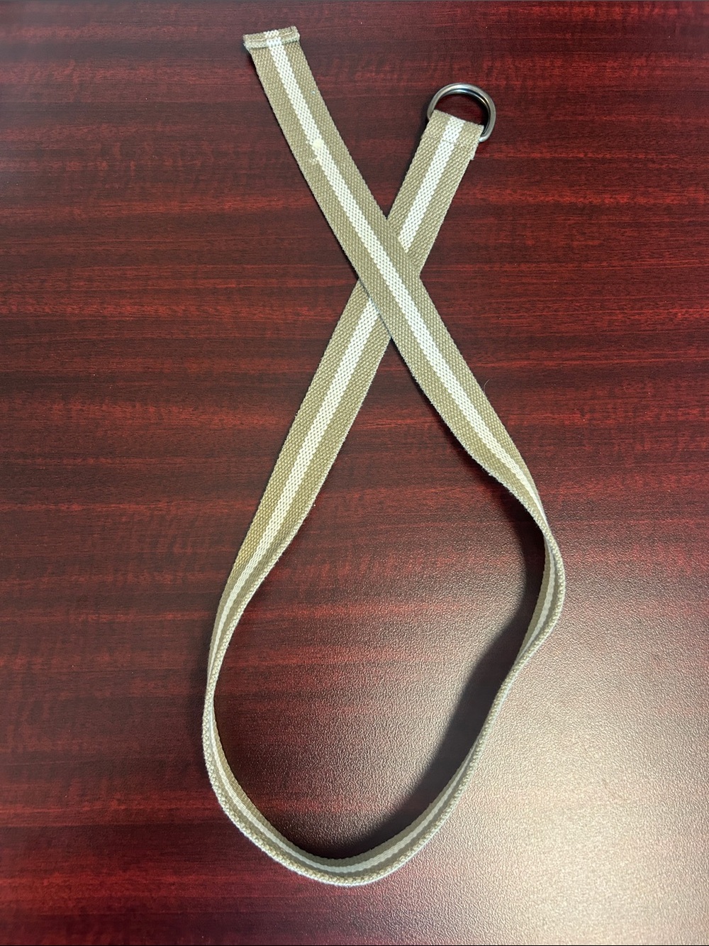 Neutral Striped Fabric Belt with D-Ring Closure